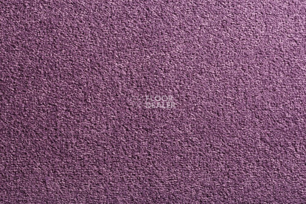 Ковролин Condor Carpets Bologna 15 фото 1 | FLOORDEALER